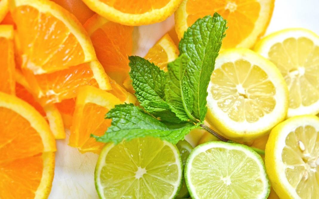 Aynı familyaya sahip portakal ve limon neden farklı kokar? 19